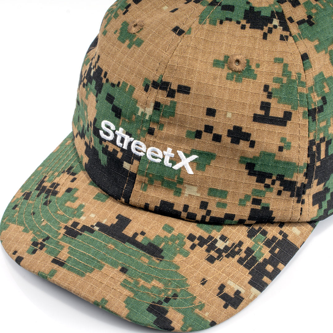 Wordmark 6 Panel Cap